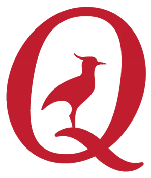 Q